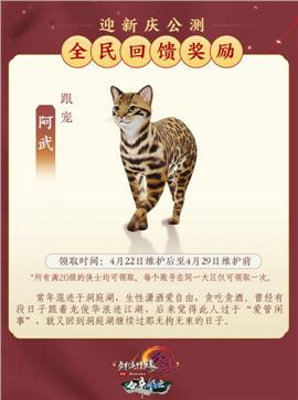 初心版本天龙八部私服